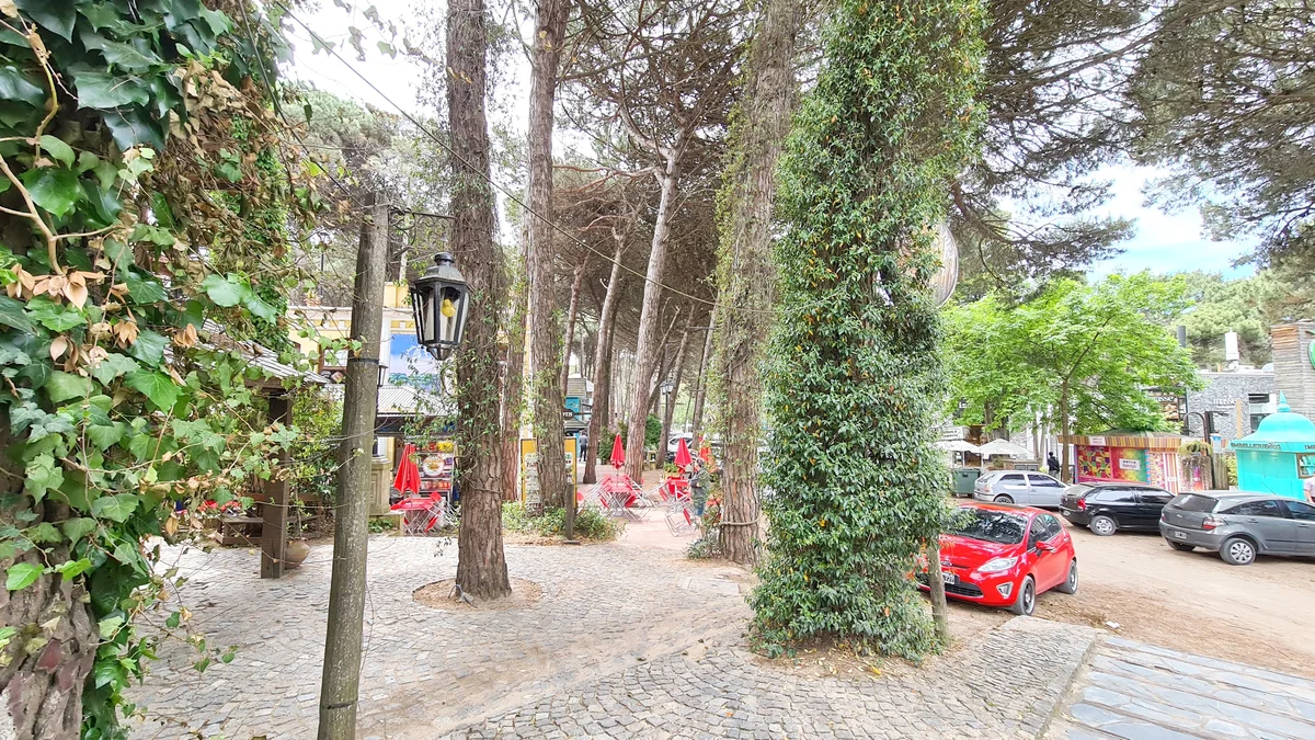 carilo centro